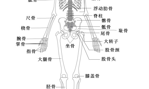手术后炖乌鱼汤怎么炖才安全-术后病人乌鱼汤做法网 - 网站提供手术后炖乌鱼汤怎么炖才安全小常识、手术后乌鱼汤炖法